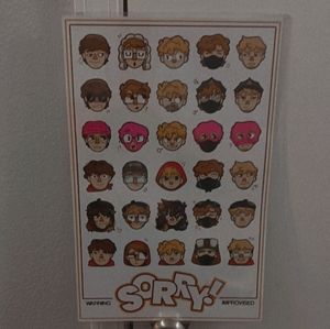 Sorry boys poster